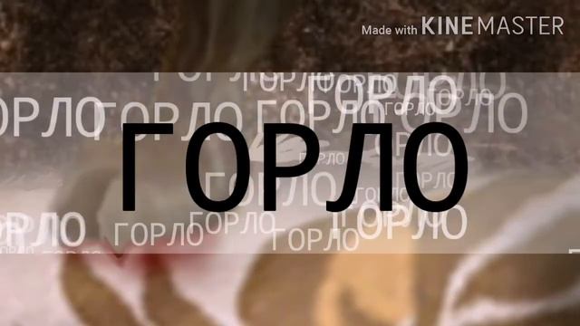 💦Meme Нейротоксин~🦠 смотреть онлайн