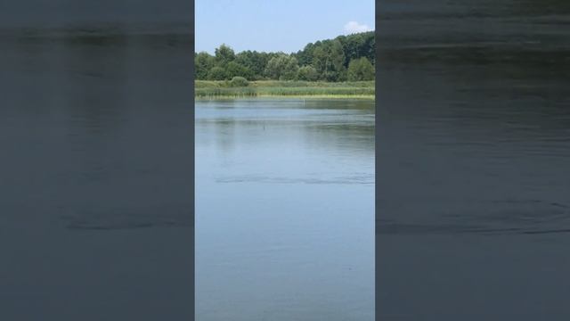 Рыбалка Муром-Вербовские Пруды 27 Июля 2022 Семён снова на Рыбалке смотреть онлайн