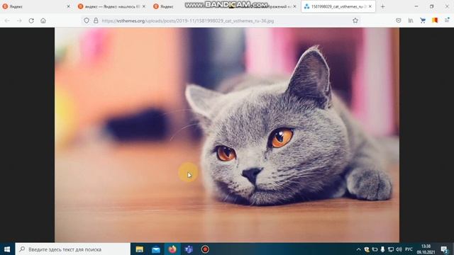 Как сохранить изображение из сети? смотреть онлайн