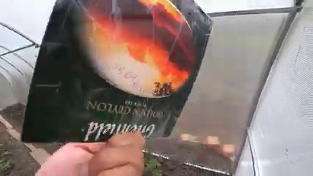 Переезд в Краснодарский край какие здесь люди разные, а мы нашли и тех какие нам нужны жить можно смотреть онлайн
