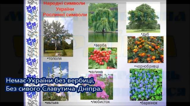" Немає України без калини"( мінус зі словами) смотреть онлайн