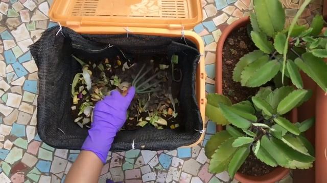 Home Composting using Excel Bioculum смотреть онлайн