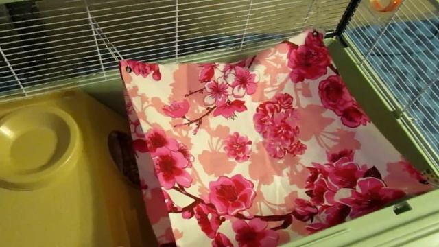 Спасение | Зоомаговская выбраковка крыс, или НЕ нужный минк! (Fancy Rats | Декоративные Крысы) смотреть онлайн