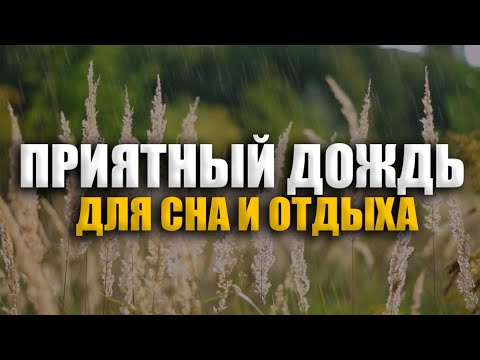 Шум дождя для психологической разгрузки успокоение нервной системы - Звуки дождя и грома для сна смотреть онлайн