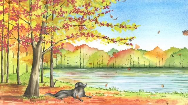 [NO ADS] Music for Dogs: Fast-Acting Dog Relaxation Therapy Sounds! смотреть онлайн