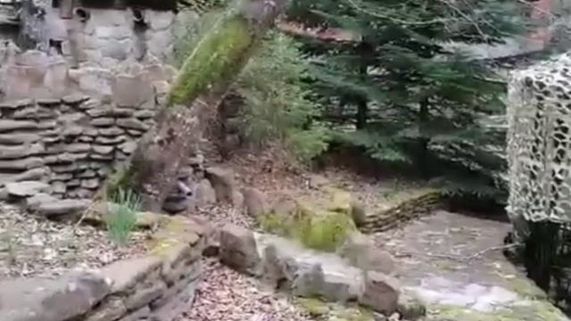 Терринкур. На чёрном море Первый маршрут, самый сложный 10 000 шагов. смотреть онлайн