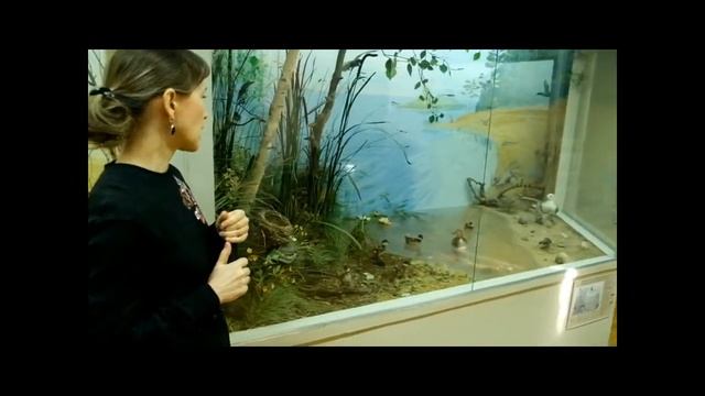 Онлайн-экскурсия 