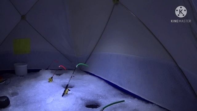 Порт Бронка (кронколония) корюшка , с 27 на 28 февраля 2021 года смотреть онлайн