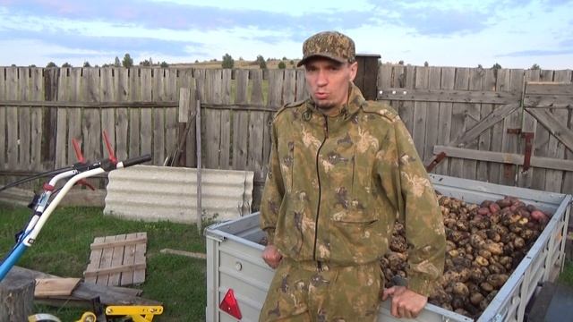 Копка картошки мотоблоком НЕВА МБ2 с грохотным картофелевыкапывателем ЦЕЛИНА в 2019г смотреть онлайн