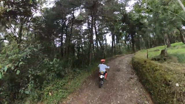 YCF Bigy 125 PitBike trail/cottage ride // Got caught up in the rain. смотреть онлайн