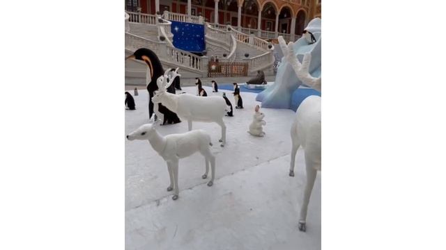 Albert, Charlene, Jacques and Gabriella of Monaco at the 2022 Royal Christmas Gift Distribution смотреть онлайн