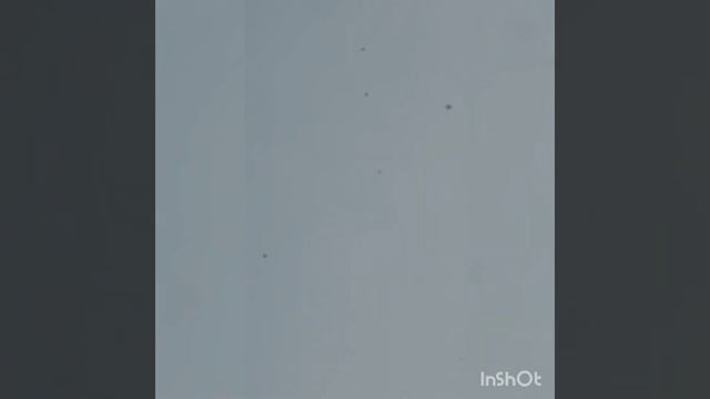 Безкружные голуби Шеховцова Р.Н. 03.06.21г. г. Курск смотреть онлайн