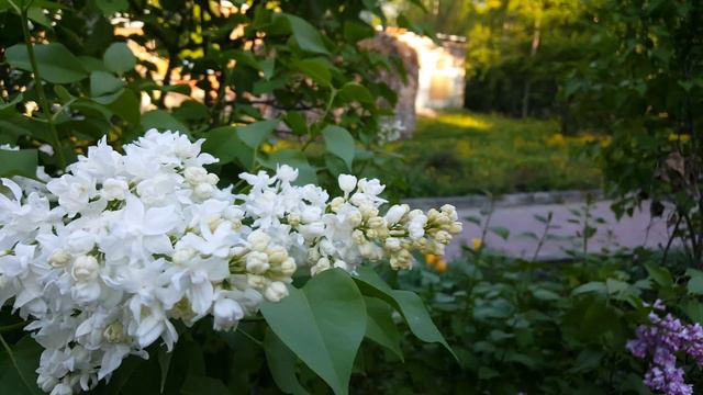 20180516 181855 смотреть онлайн