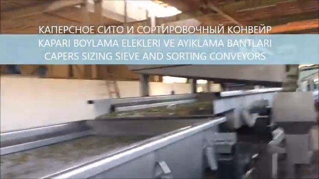 CAPERS PROCESSING LINE / KAPARI İŞLEME HATTI /ПРОИЗВОДСТВЕННАЯ ЛИНИЯ КАПЕРСОВ смотреть онлайн