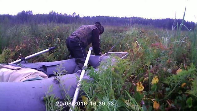 Карелия озеро Ламатозеро Рыбалка в болотах Щука Окунь Переход часть 1 смотреть онлайн