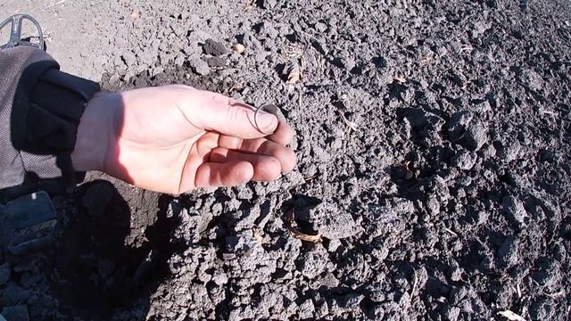 Пошук монет на полях в Хмельницькій обл. Коп з XP DEUS в 2022 році. смотреть онлайн