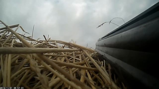 г.Аркалык Казахстан 2013 охота на гуся смотреть онлайн