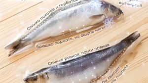 Как определить пол селедки #herring