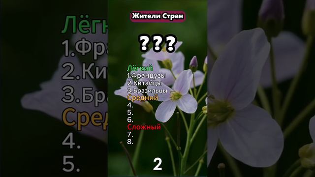 1000039150.mp4 смотреть онлайн