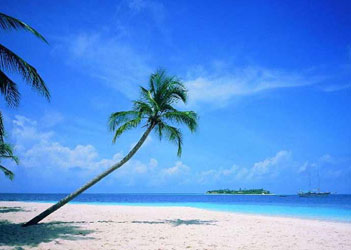 1 Best Blues Music _ The Best Blues Songs Of All Time _ Blues Music Playlist.mp4