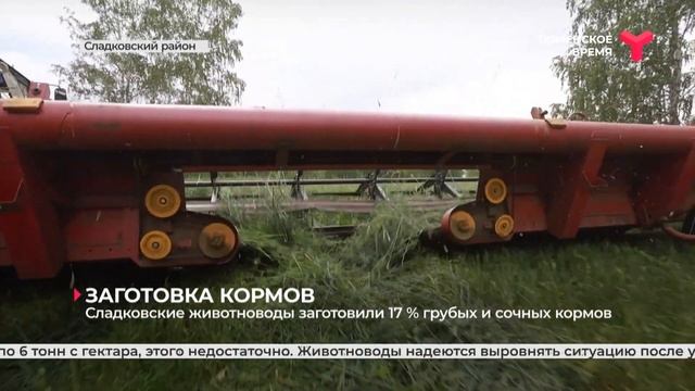 Сладковские животноводы заготовили 17 % грубых и сочных кормов смотреть онлайн