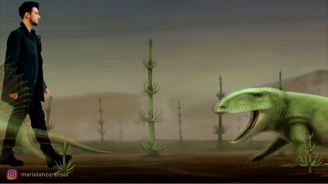 SYNAPSIDS: Stem-Mammals. Size Comparison And Data. Paleoart