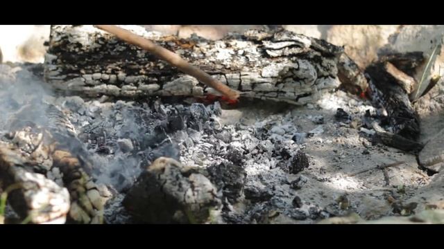 Семена подорожника для похудения смотреть онлайн