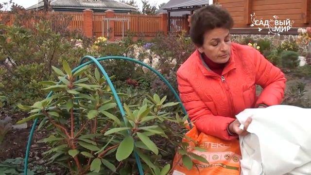 Чем укрыть растения на зиму. Укрывные материалы Агротекс смотреть онлайн