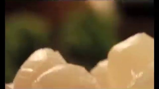 paladini смотреть онлайн