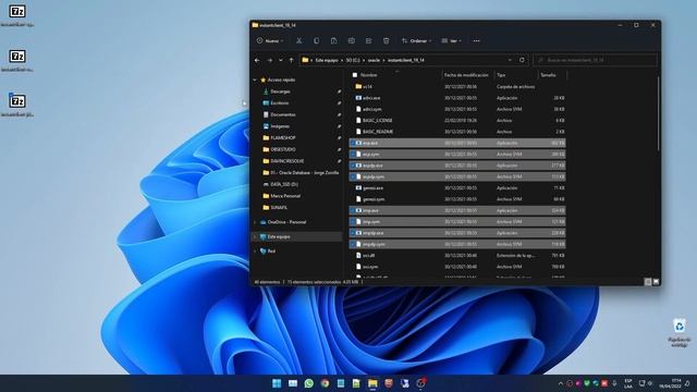 Como instalar Oracle Client 12c en ?Windows 10/11 - 2022 смотреть онлайн