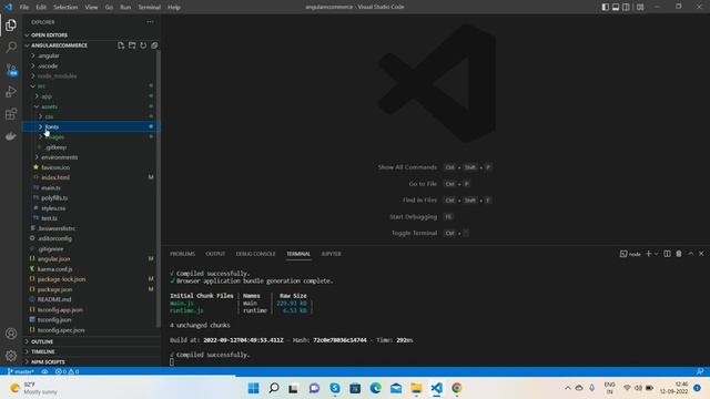 Build Complete Ecommerce Website with Angular 14 смотреть онлайн