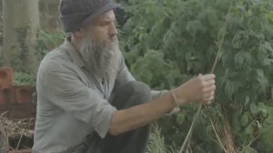 Как сделать ткань из крапивы