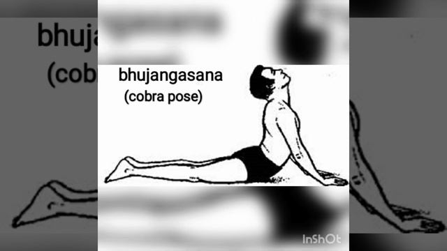 Suryanamaskara step by step for beginners смотреть онлайн
