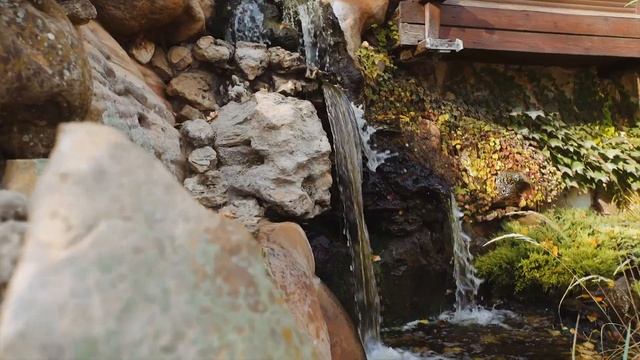 Осень в парке «Лога» смотреть онлайн