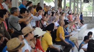 Крокодил откусил голову своему дрессировщику.Шок !!!