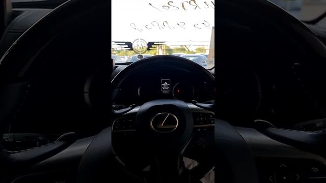 Lexus LX570 VS Toyota Land Cruiser ZX V8 2017. Why so expensive? смотреть онлайн