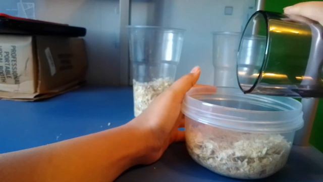 Как вырастить овёс .🌾 смотреть онлайн