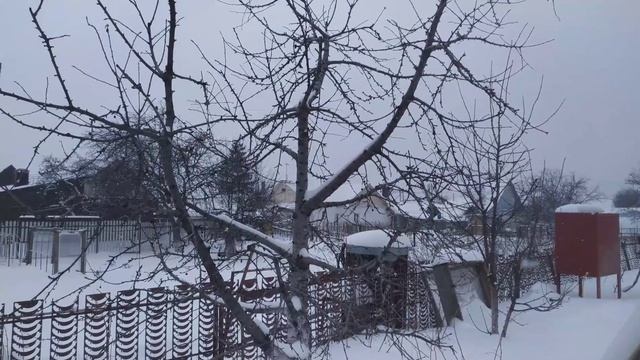 Формирование черешни. Ярусная-чаша. смотреть онлайн