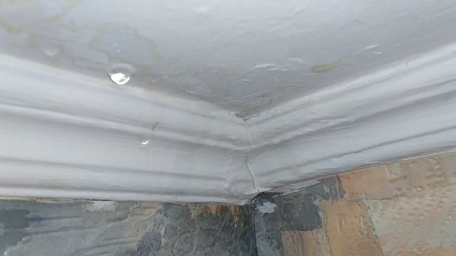 соседи заливают смотреть онлайн