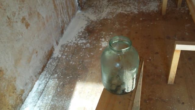 Дизенфекция птичника однохлористым йодом с алюминием