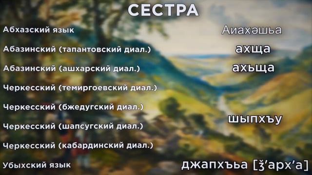 Абхазо Адыгская языковая семья