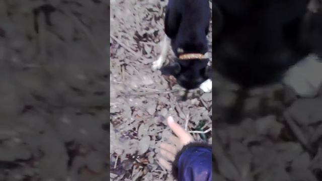 Наш найденыш)) смотреть онлайн