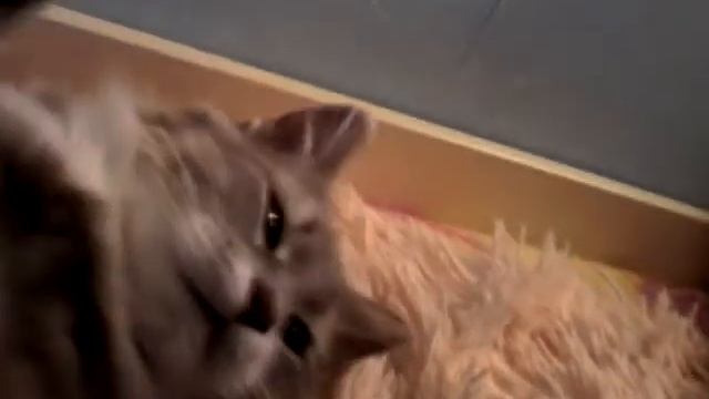 Камера плохая но не помеха!!