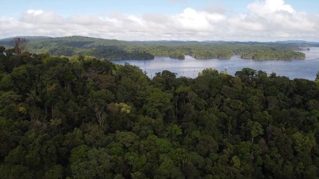Le Lac de Petit Saut - Vue du ciel смотреть онлайн
