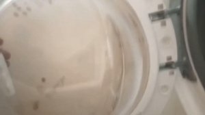 Не закрывается дверца стиральной машины?Провисла?Как отремонтировать замок на Самсунг, LG, Горение.