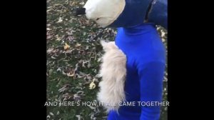 How I made a Sonic costume, start to finish