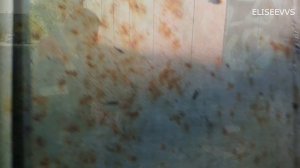 подъём  металлического гаража на 50 см