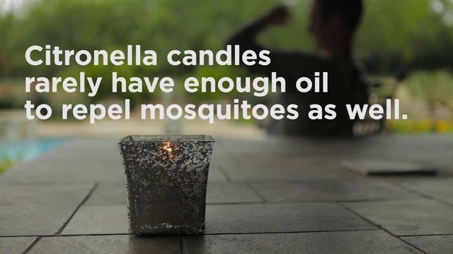Protect Home From Mosquitoes - The Truth About Citronella Oil - Terminix смотреть онлайн