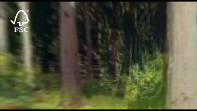 Видеоролики FSC Лесное богатство России! смотреть онлайн
