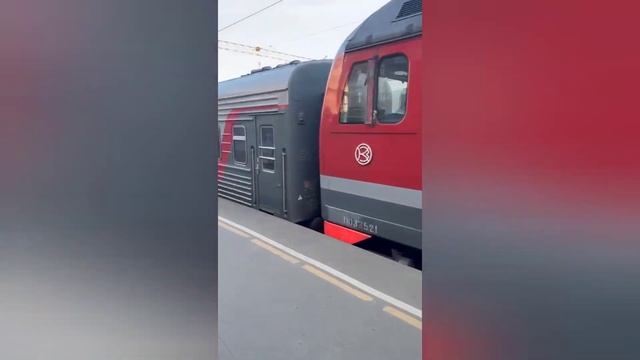 Доставка роз в Москву. Все розы живы! смотреть онлайн